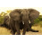 DME - Animal Mastery (instant access)