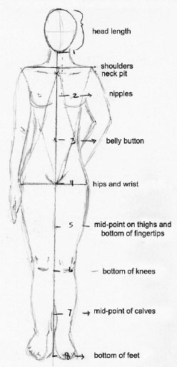 proportion in figure drawing