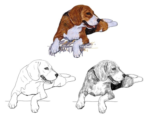 How To Draw Short Fur On A Dog