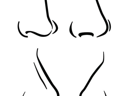 How To Draw Expressive Noses