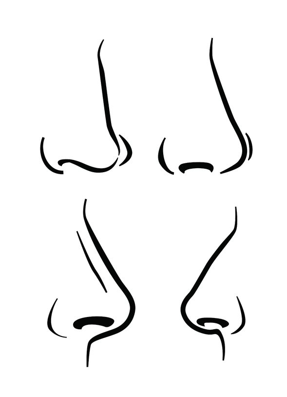 Nose Study by bhinderdraws on DeviantArt