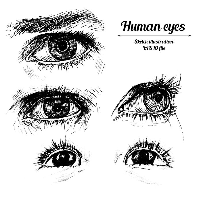 25 Easy Cat Eye Drawing Ideas - How to Draw a Cat Eye-sonthuy.vn