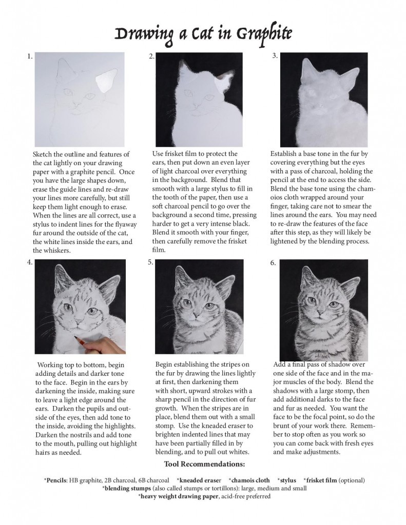 Drawing Cats Online Version - Drawing Made Easy